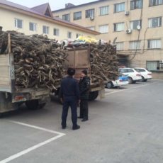 В ЮКО за трое суток ОПМ «Браконьер» полицейские выявили свыше 50 правонарушений