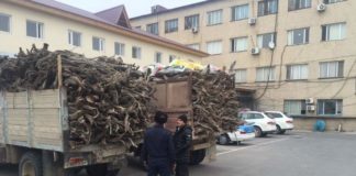 В ЮКО за трое суток ОПМ «Браконьер» полицейские выявили свыше 50 правонарушений