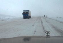 Пятерых шымкентцев вызволили из снежного плена