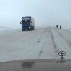 Пятерых шымкентцев вызволили из снежного плена