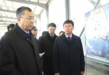 Акима ЮКО просят отдать озеро Кызылколь в частные руки