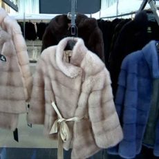 С мехом в союзе. Выставка-продажа меховых изделий стартовала в Шымкенте