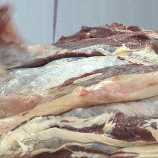 Участковый инспектор задержал квартирного вора в Туркестанской области