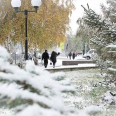 Шымкент вошел в ТОП-5 самых чистых городов Казахстана