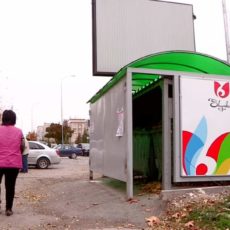 Мусорные контейнеры в Шымкенте ограждены «тюльпанами»
