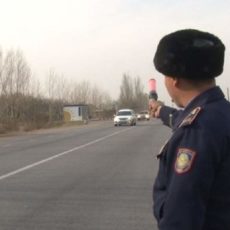 Порядка тысячи нарушителей ПДД в день выявляют полицейские ЮКО