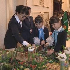 Школьники предложили свои идеи по улучшению флоры Шымкента Школьники предложили свои идеи по улучшению флоры Шымкента