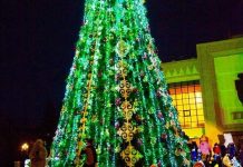 «Каждый хочет в жизни вау»: Аким Шымкента о расходах на новогоднее оформление