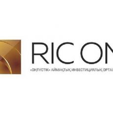 РИЦ «ОҢТҮСТІК» профинансировал 1608 проектов