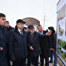 На месте заброшенных оврагов Шымкента построят новые парки