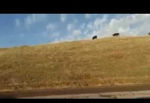 Шымкент назвали границей между добром и злом