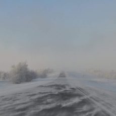В Туркестанской области и Шымкенте 25 февраля объявлено штормовое предупреждение