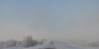 Трасса «Шымкент-Тараз» закрыта из-за метели