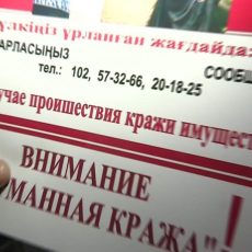 Порядка 800 карманных краж зарегистрировано в ЮКО за 11 месяцев