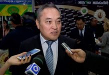Президент Назарбаев освободил от должности Дархана Мынбая