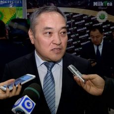 Президент Назарбаев освободил от должности Дархана Мынбая