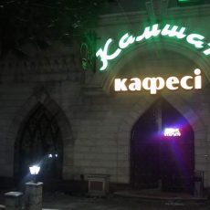 Шымкентские воры предпочитают деньги, авто и аккумуляторы