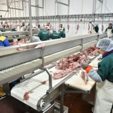 Жансеит Туймебаев: ЮКО должна стать лидером в производстве мяса птицы