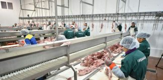 Жансеит Туймебаев: ЮКО должна стать лидером в производстве мяса птицы