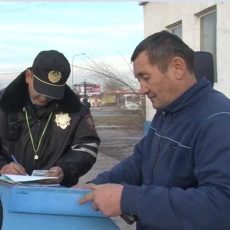 В ЮКО полицейский рейд «Автобус» за сутки выявил 158 нарушителей ПДД За сутки мероприятие "Автобус" выявило 158 нарушителей