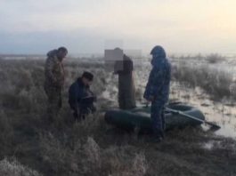 В Южно-Казахстанской области зарегистрированы экологические преступления