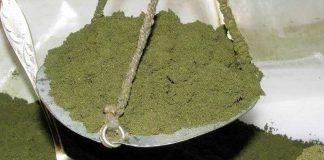 70 кг насвая пытался провезти через границу в Сарыагаше гражданин Узбекистана