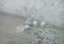 На стройке в Шымкенте обнаружены останки людей