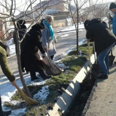 В Шымкенте прошел первый в новом году общегородской субботник