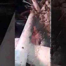 Сотрудники бригады скорой помощи Шымкента спасли младенца из-под завалов