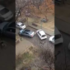 Паркующиеся в шымкентском дворе женщины стали объектом шуток