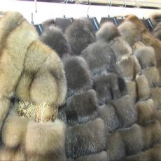 Выставка «Шубамания» продлевает свою работу в Шымкенте