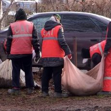 Жители одной из шымкентских многоэтажек пытаются переложить ответственность за чистоту двора на акимат