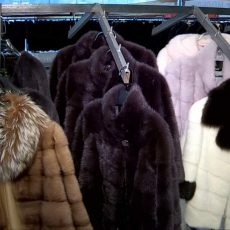 Выставка «Союз меха» пробудет в Шымкенте до 15 января