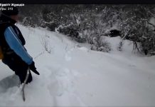 Цепочку огромных следов в горах обнаружили горные туристы из ЮКО Загадочные следы в горах ЮКО обнаружили альпинисты