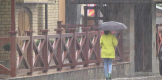 Похолодание: проливные дожди ожидаются в Шымкенте дождь