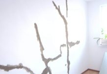 В акимате Шымкента озвучили заключение по трещинам в многоэтажном доме на Нурсате