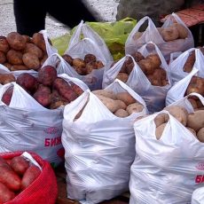 В Шымкенте пройдет ярмарка сельскохозяйственной продукции Шымкентские покупатели предпочитают павлодарский картофель