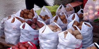 В Шымкенте пройдет ярмарка сельскохозяйственной продукции Шымкентские покупатели предпочитают павлодарский картофель