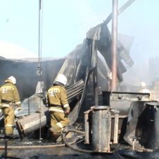 Во время пожара в Шымкенте заживо сгорели коровы и теленок Пожар в микрорайоне Жалын
