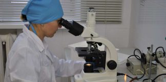 В ЮКО зарегистрировано пять случаев заражения бруцеллезом В ЮКО зарегистрировано пять случаев заболевания бруцеллезом