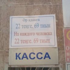В Шымкенте поднялась цена билета в зоопарк Новая цена билета в зоопарк
