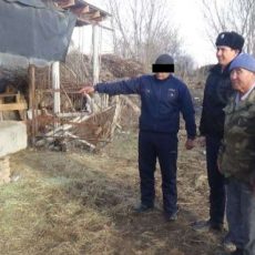 Банду барымтачей ликвидировали в ЮКО Похитители скота во время оперативных мероприятий