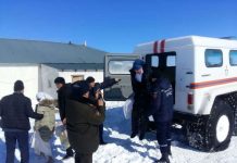 Жениха с невестой занесло снегом на перевале в ЮКО Жених с невестой застряли на перевале в ЮКО