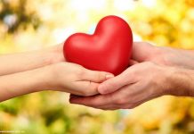 Подарок без повода