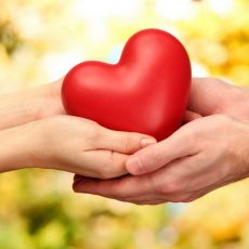 Подарок без повода