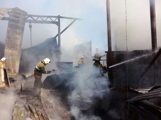 Во время пожара в Шымкенте заживо сгорели коровы и теленок