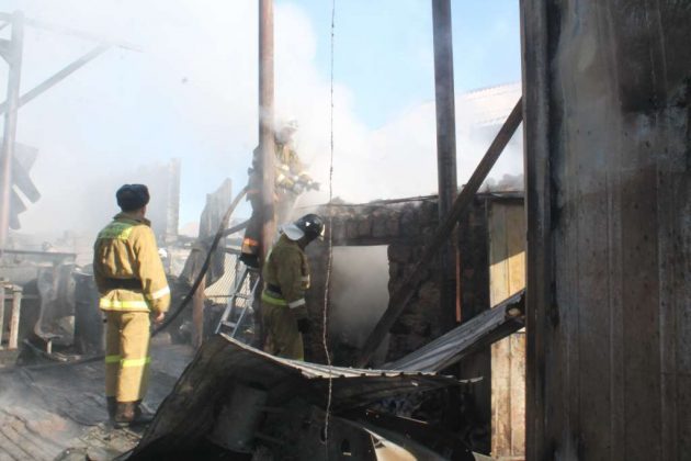 Во время пожара в Шымкенте заживо сгорели коровы и теленок