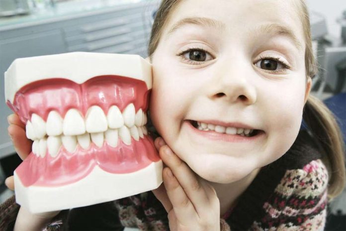 Как сохранить зубы целыми и здоровыми