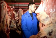 В ЮКО сельхозкооперативы развиваются при государственной финансовой поддержке В ЮКО сельхозкооперативы развиваются при государственной финансовой поддержке