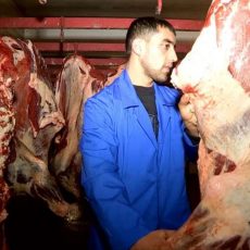 В ЮКО сельхозкооперативы развиваются при государственной финансовой поддержке В ЮКО сельхозкооперативы развиваются при государственной финансовой поддержке